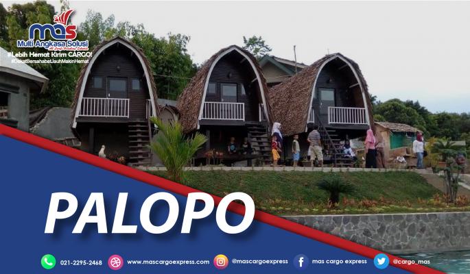Pengiriman Barang Jakarta-Palopo
