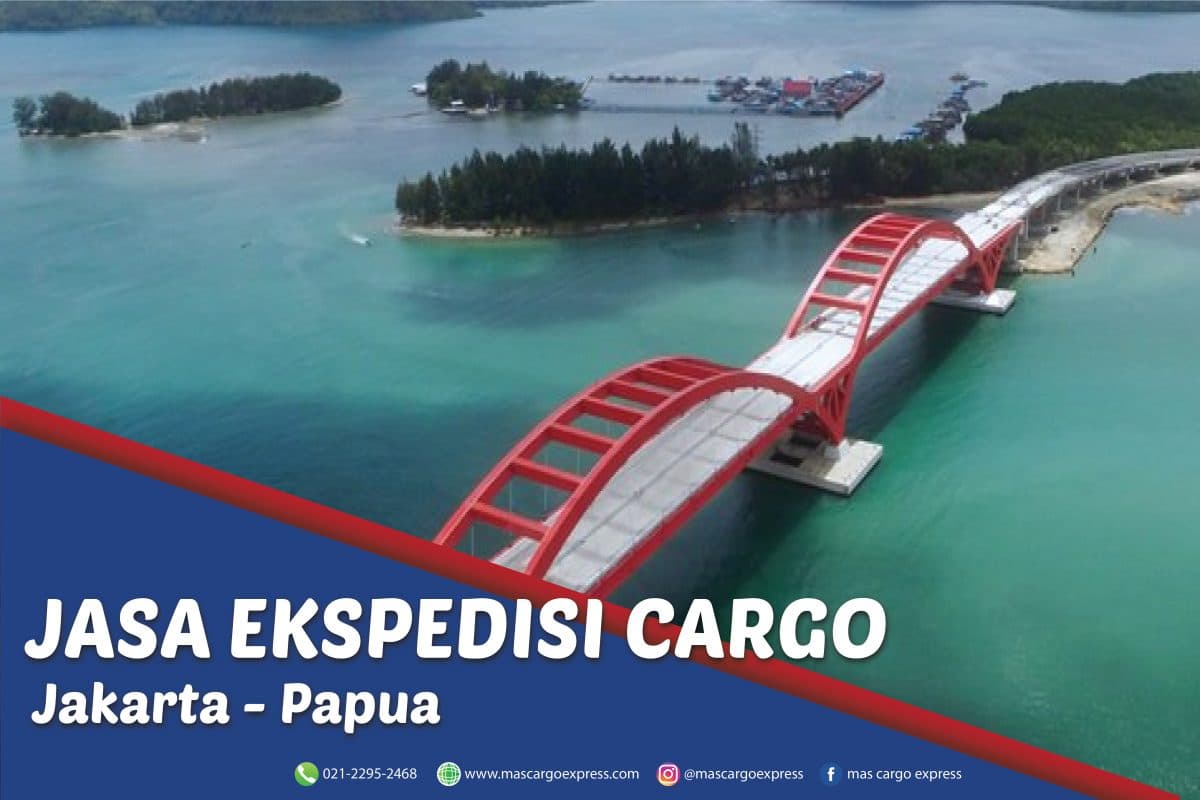 Pilihan Jasa Ekspedisi Cargo Jakarta ke Papua Berpengalaman