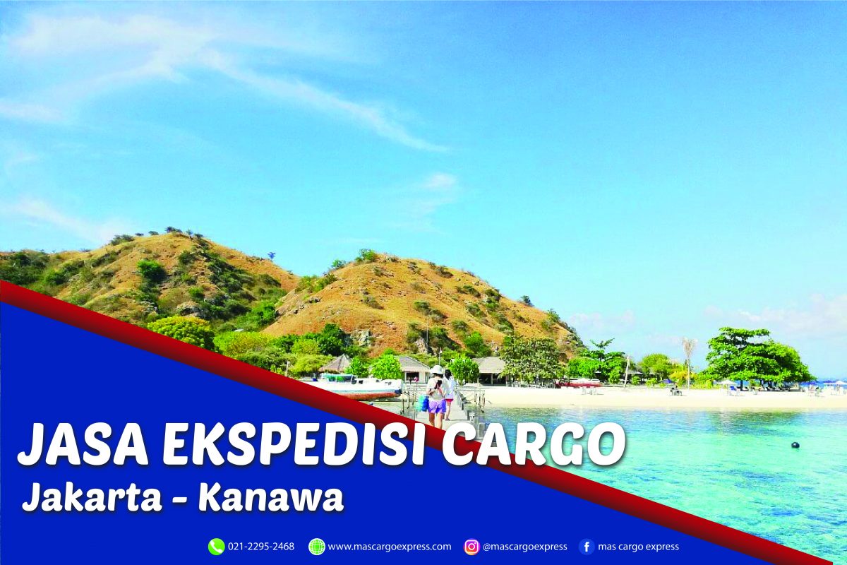 Jasa Ekspedisi Cargo Jakarta ke Kanawa Murah, Cepat,Aman dan Bergaransi
