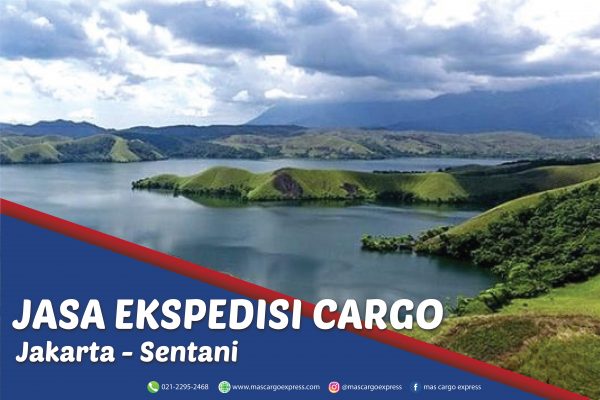 Jasa Ekspedisi Cargo Jakarta ke Sentani Murah, Cepat, Aman & Bergaransi