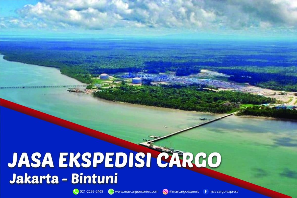 Jasa Ekspedisi Cargo Jakarta ke Bintuni Murah,Cepat Aman & Bergaransi